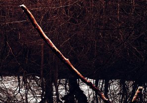 Stick-in-Pond